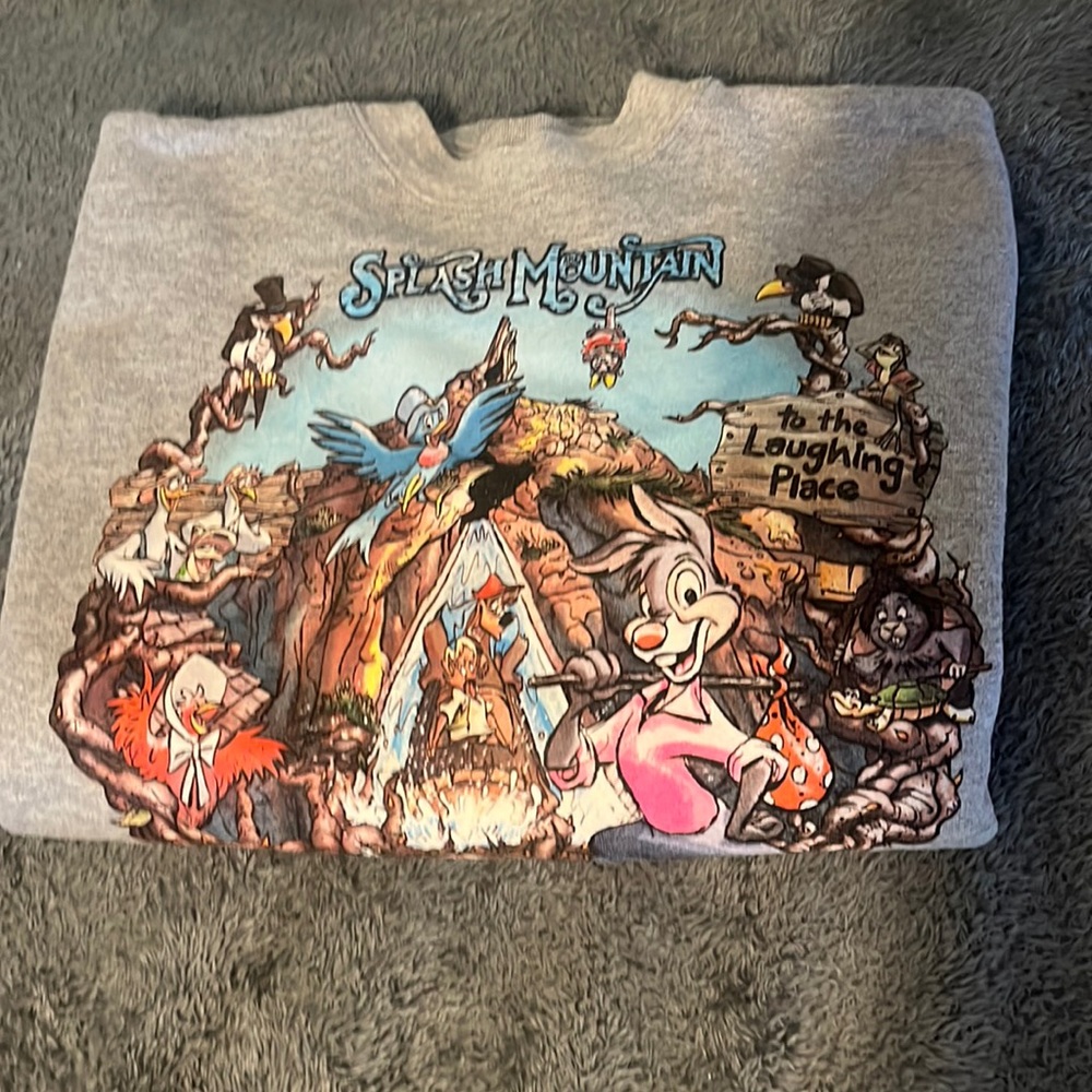 Rare Disney park exclusive- splash mountain crew neck size medium.